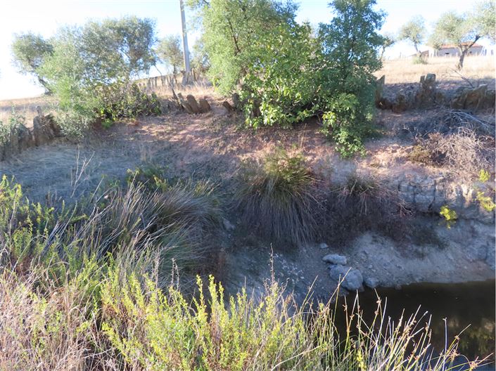 Image No.18-Propriété de 3 chambres à vendre à Castelo Branco