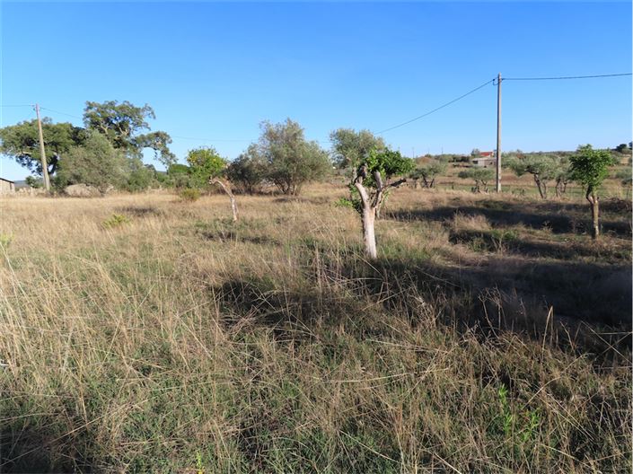 Image No.19-Propriété de 3 chambres à vendre à Castelo Branco