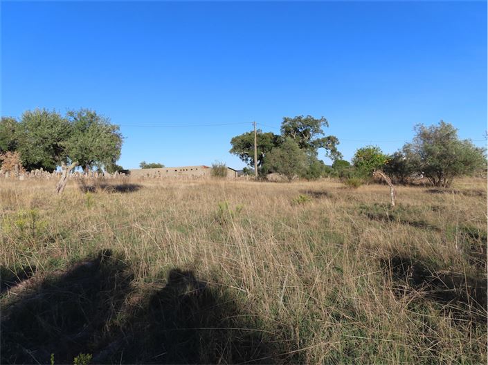 Image No.20-Propriété de 3 chambres à vendre à Castelo Branco