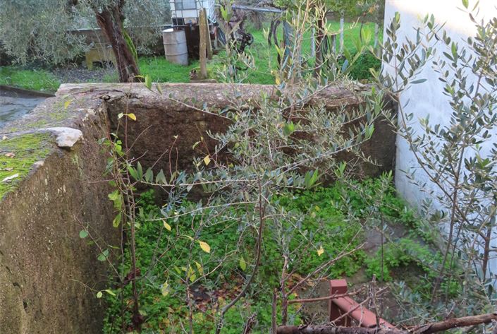 Image No.7-Propriété de 3 chambres à vendre à Castelo Branco