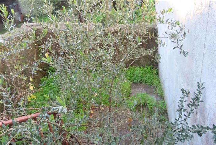 Image No.8-Propriété de 3 chambres à vendre à Castelo Branco