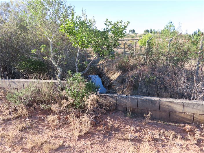 Image No.9-Propriété de 3 chambres à vendre à Castelo Branco