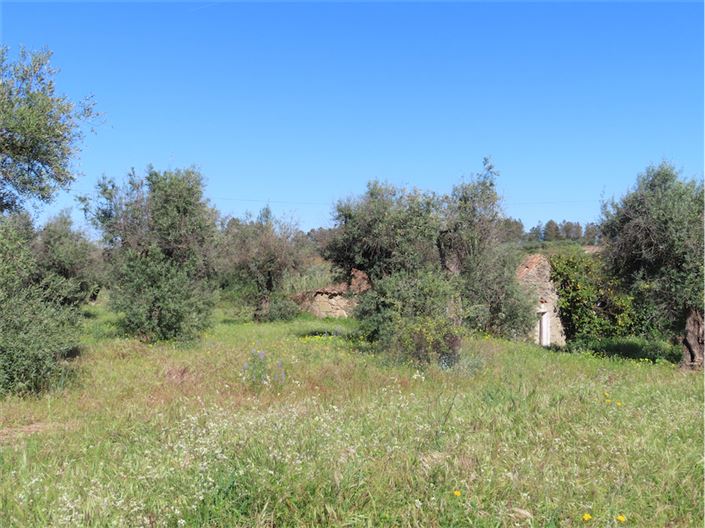 Image No.10-Propriété de 2 chambres à vendre à Castelo Branco