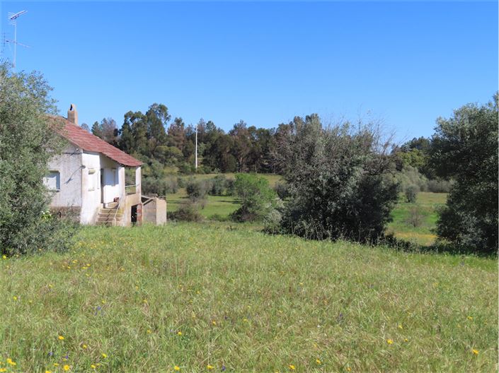 Image No.12-Propriété de 2 chambres à vendre à Castelo Branco
