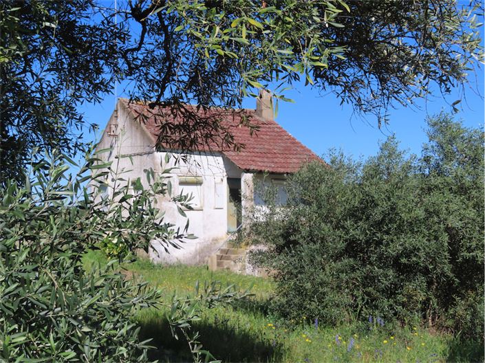 Image No.14-Propriété de 2 chambres à vendre à Castelo Branco