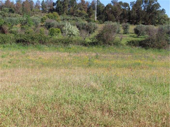 Image No.16-Propriété de 2 chambres à vendre à Castelo Branco