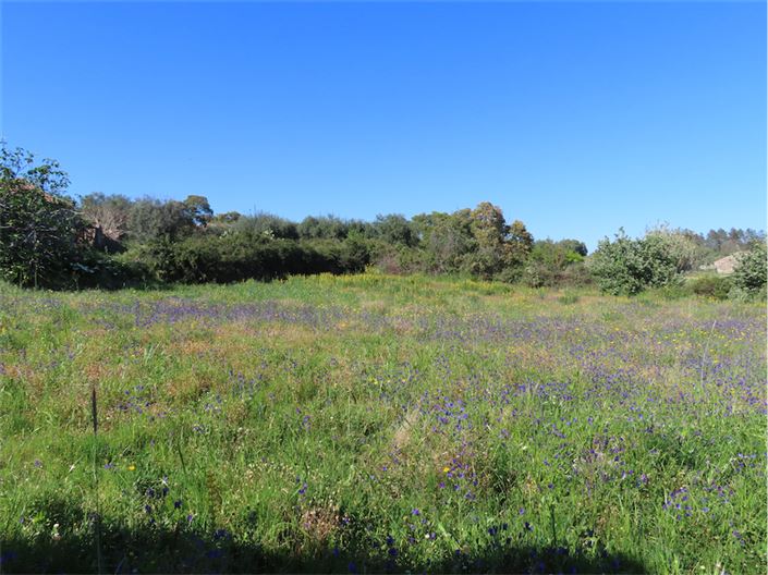 Image No.17-Propriété de 2 chambres à vendre à Castelo Branco