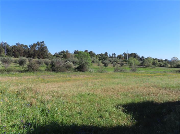 Image No.18-Propriété de 2 chambres à vendre à Castelo Branco