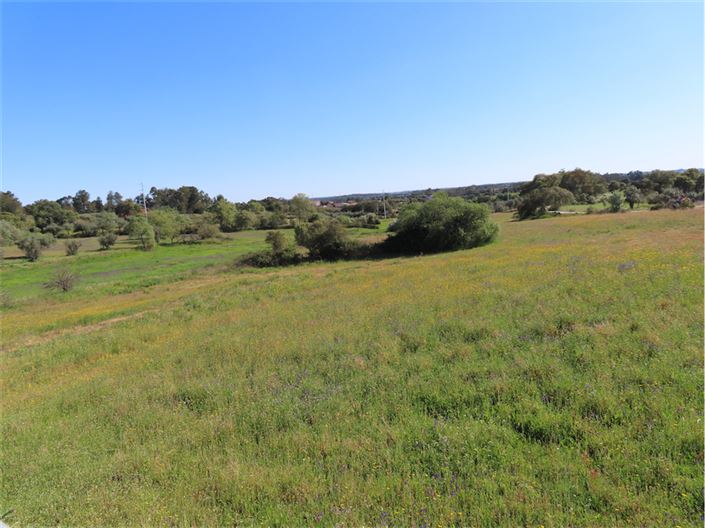 Image No.19-Propriété de 2 chambres à vendre à Castelo Branco