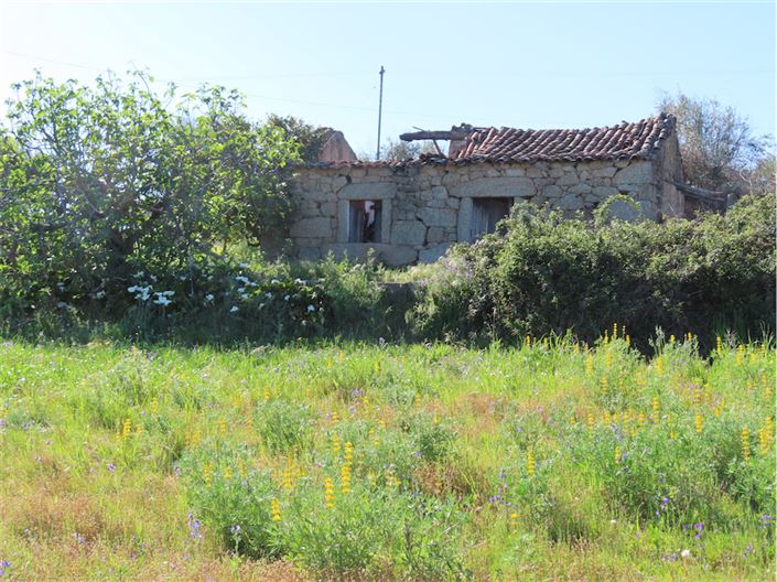 Image No.30-Propriété de 2 chambres à vendre à Castelo Branco
