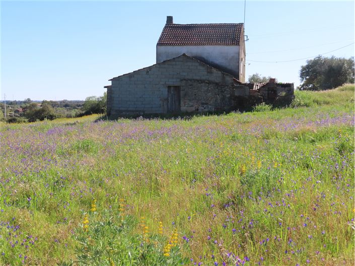 Image No.31-Propriété de 2 chambres à vendre à Castelo Branco