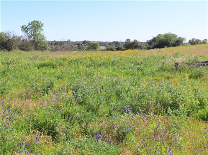 Image No.32-Propriété de 2 chambres à vendre à Castelo Branco