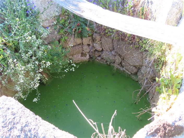 Image No.33-Propriété de 2 chambres à vendre à Castelo Branco