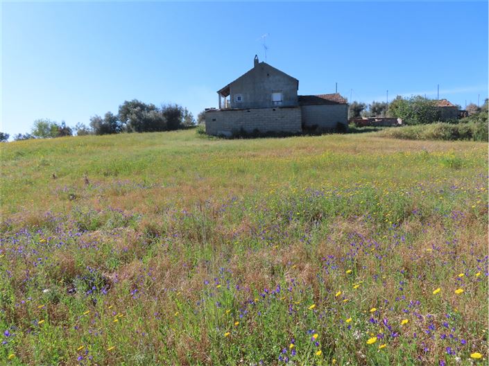 Image No.34-Propriété de 2 chambres à vendre à Castelo Branco