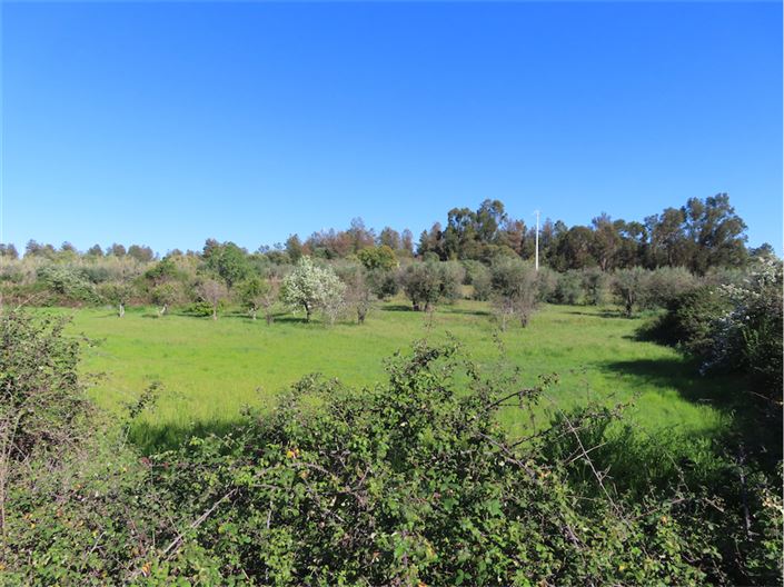 Image No.35-Propriété de 2 chambres à vendre à Castelo Branco