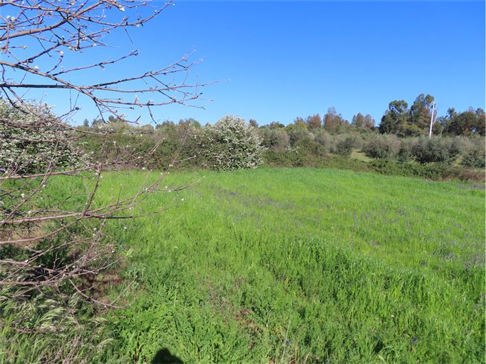Image No.36-Propriété de 2 chambres à vendre à Castelo Branco