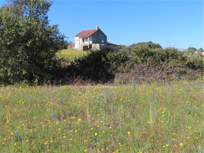 Image No.38-Propriété de 2 chambres à vendre à Castelo Branco