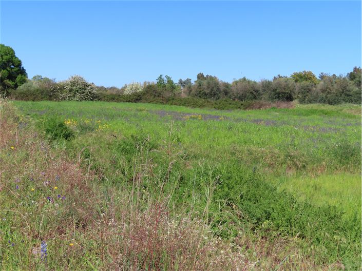 Image No.40-Propriété de 2 chambres à vendre à Castelo Branco