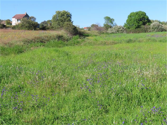 Image No.42-Propriété de 2 chambres à vendre à Castelo Branco