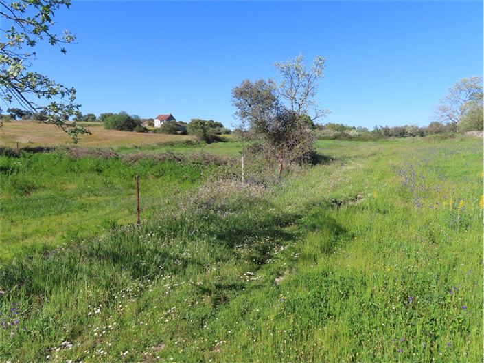 Image No.44-Propriété de 2 chambres à vendre à Castelo Branco