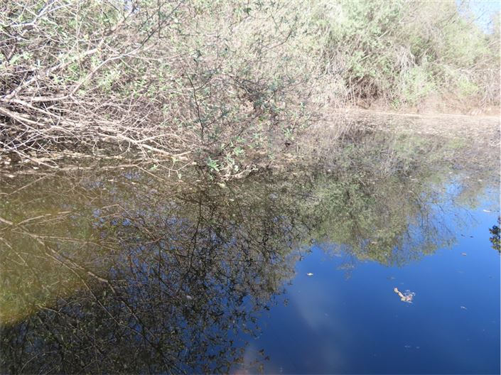 Image No.45-Propriété de 2 chambres à vendre à Castelo Branco