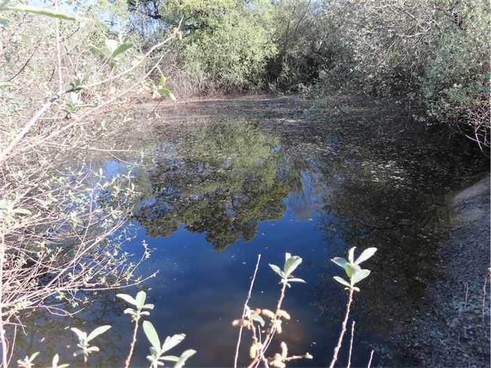 Image No.46-Propriété de 2 chambres à vendre à Castelo Branco