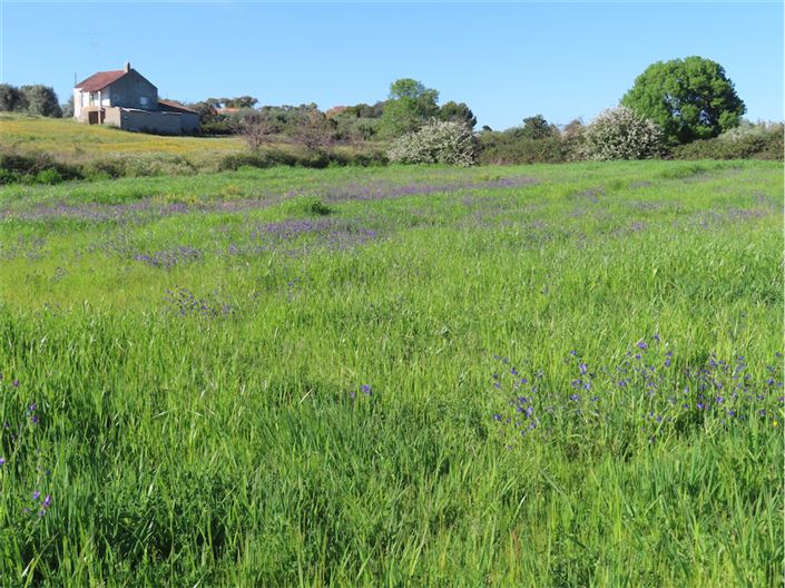 Image No.48-Propriété de 2 chambres à vendre à Castelo Branco