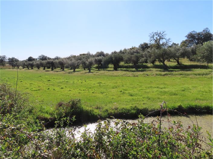 Image No.50-Propriété de 2 chambres à vendre à Castelo Branco