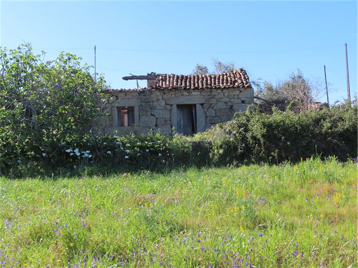 Image No.8-Propriété de 2 chambres à vendre à Castelo Branco