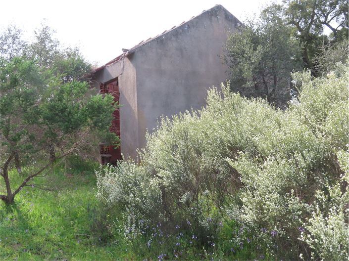 Image No.16-Propriété à vendre à Castelo Branco