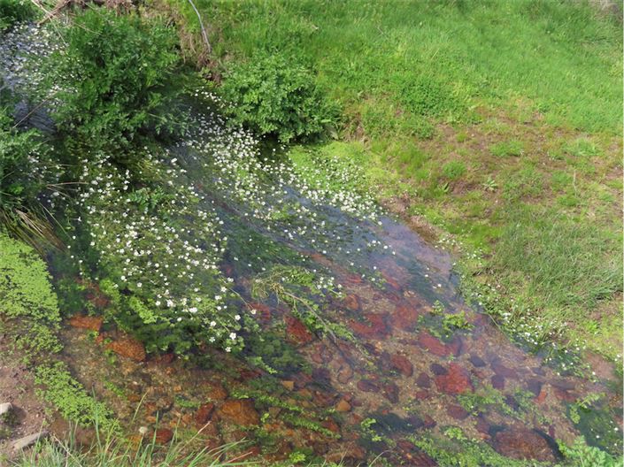 Image No.18-Propriété à vendre à Castelo Branco