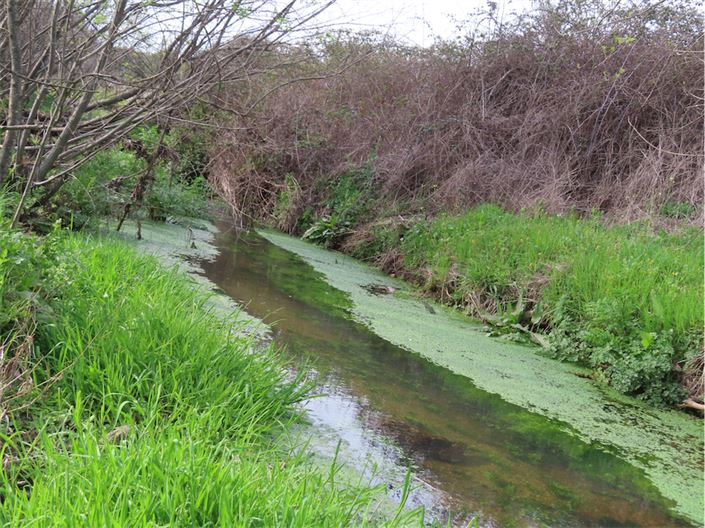 Image No.20-Propriété à vendre à Castelo Branco