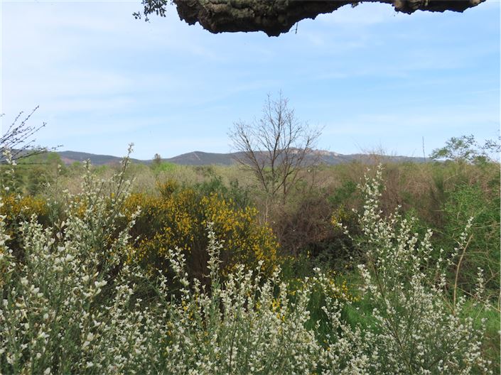 Image No.22-Propriété à vendre à Castelo Branco