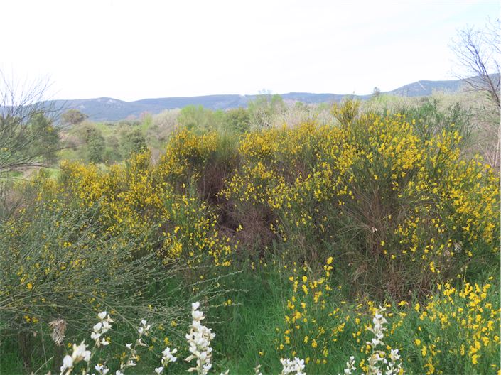 Image No.23-Propriété à vendre à Castelo Branco