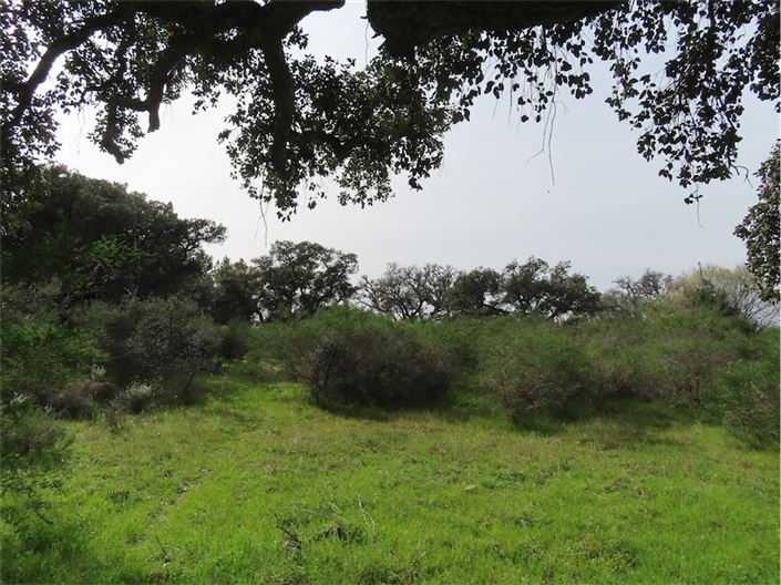 Image No.6-Propriété à vendre à Castelo Branco