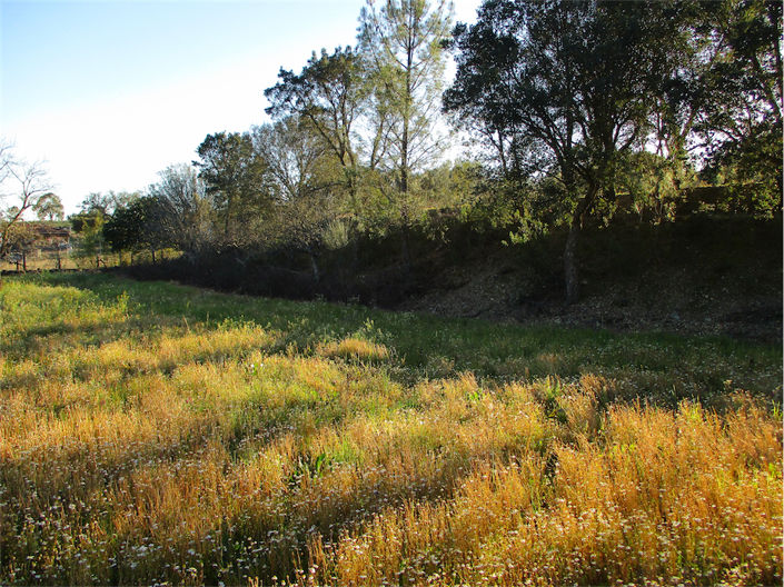 Image No.14-Propriété à vendre à Castelo Branco