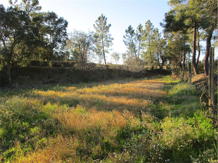 Image No.16-Propriété à vendre à Castelo Branco