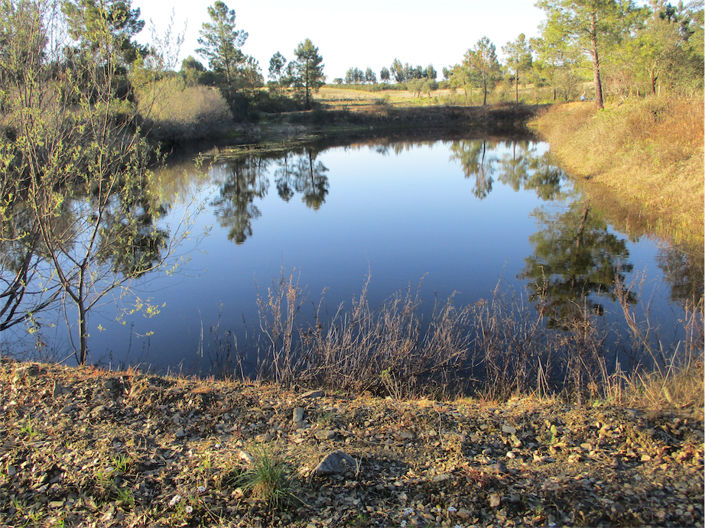 Image No.2-Propriété à vendre à Castelo Branco