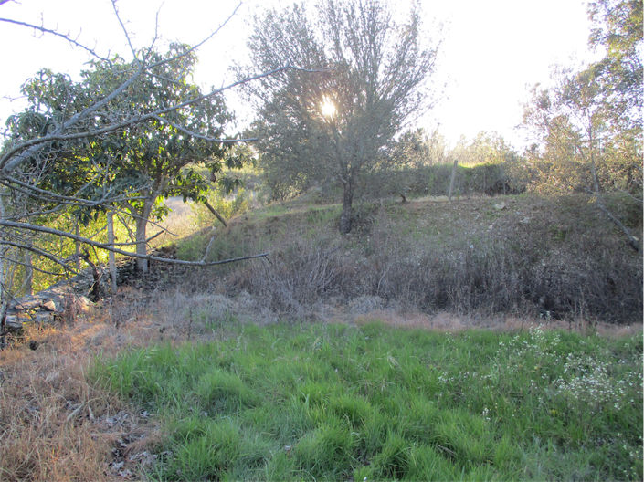 Image No.21-Propriété à vendre à Castelo Branco