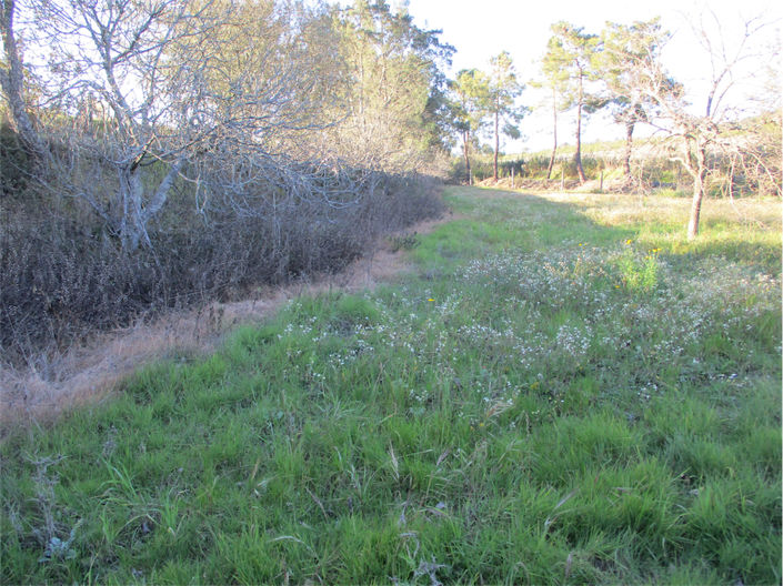 Image No.22-Propriété à vendre à Castelo Branco