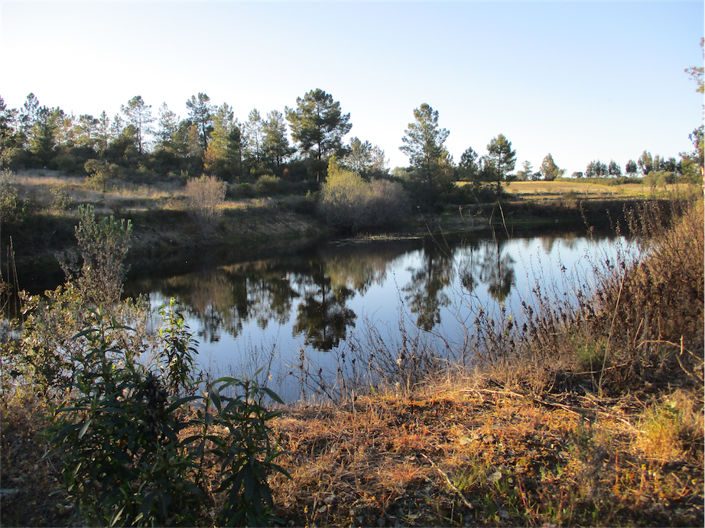 Image No.24-Propriété à vendre à Castelo Branco