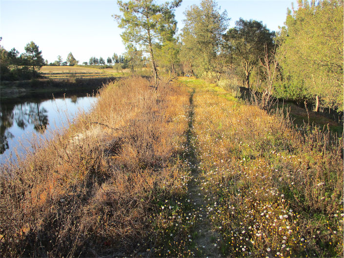 Image No.25-Propriété à vendre à Castelo Branco