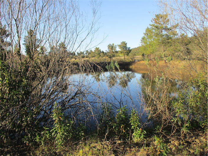 Image No.3-Propriété à vendre à Castelo Branco
