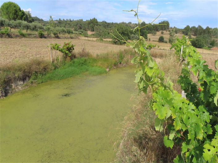 Image No.11-Propriété à vendre à Castelo Branco