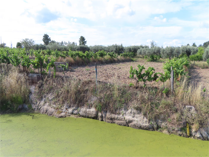 Image No.12-Propriété à vendre à Castelo Branco