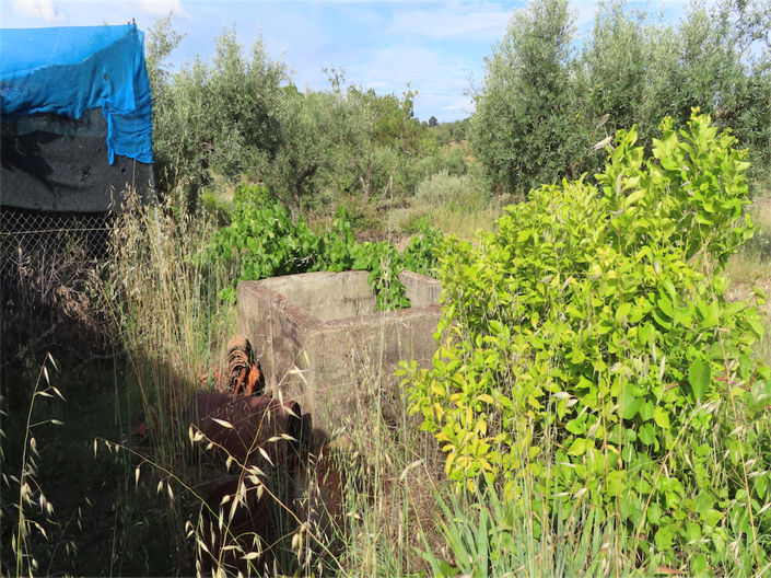 Image No.28-Propriété à vendre à Castelo Branco