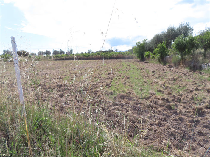 Image No.6-Propriété à vendre à Castelo Branco