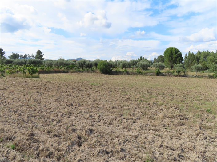 Image No.7-Propriété à vendre à Castelo Branco