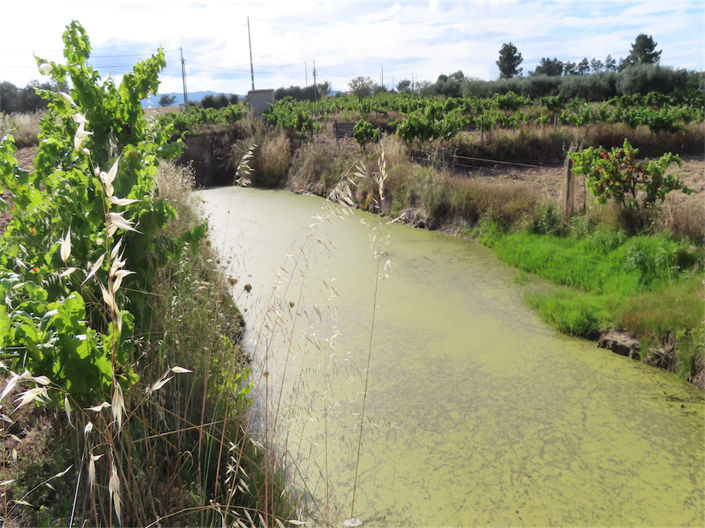 Image No.8-Propriété à vendre à Castelo Branco