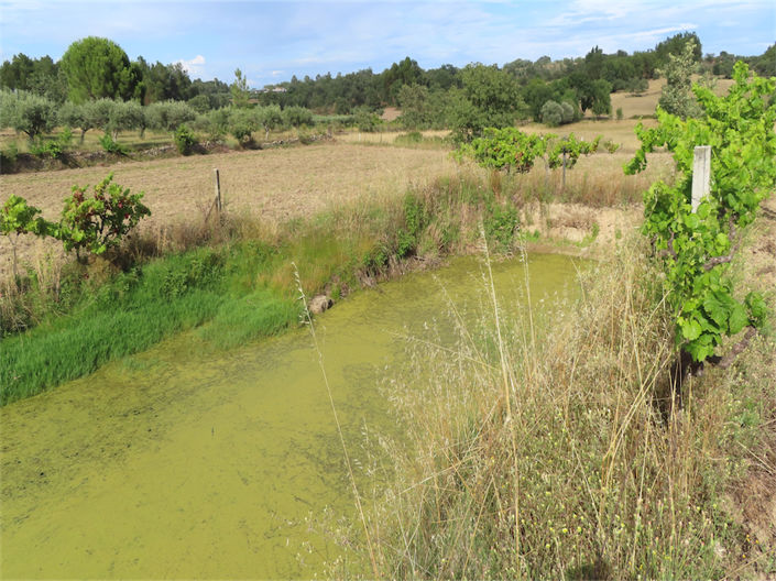 Image No.9-Propriété à vendre à Castelo Branco